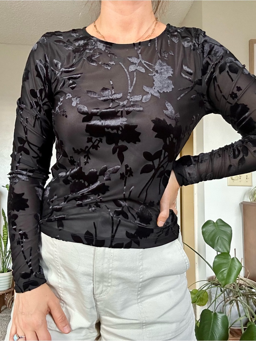 Rachel Zoe Velvet Mesh Top